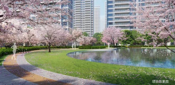 和风雅信(售楼处)网站-2024和风雅信营销中心(售楼处中心)欢迎您-高铁新城-日系精装-户型-价格-地址-楼盘详情-双500强联袂(图6)