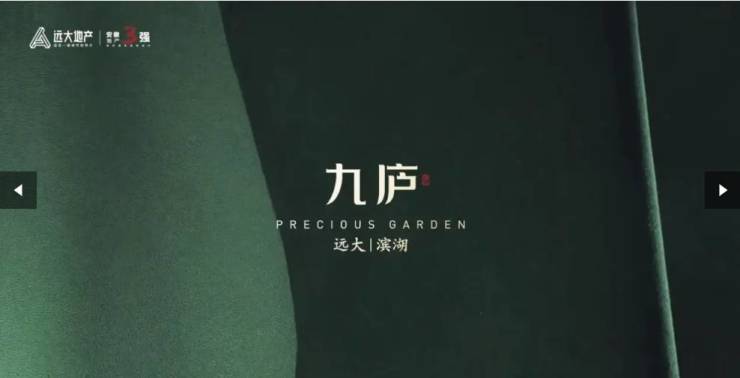 合肥远大九庐售楼部重磅发布：生态健康社区的全新定义与规划理念(图5)