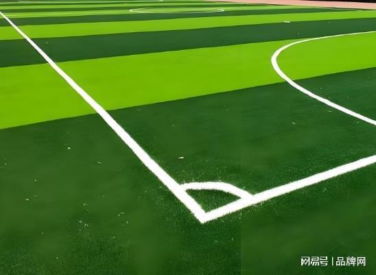2026塑胶跑道十大品牌权威发布十大塑胶跑道厂家chinapp(图2)