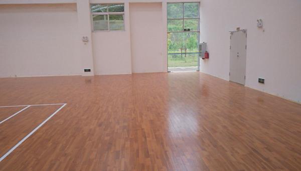 中国十大运动木地板品牌有哪些(图3)